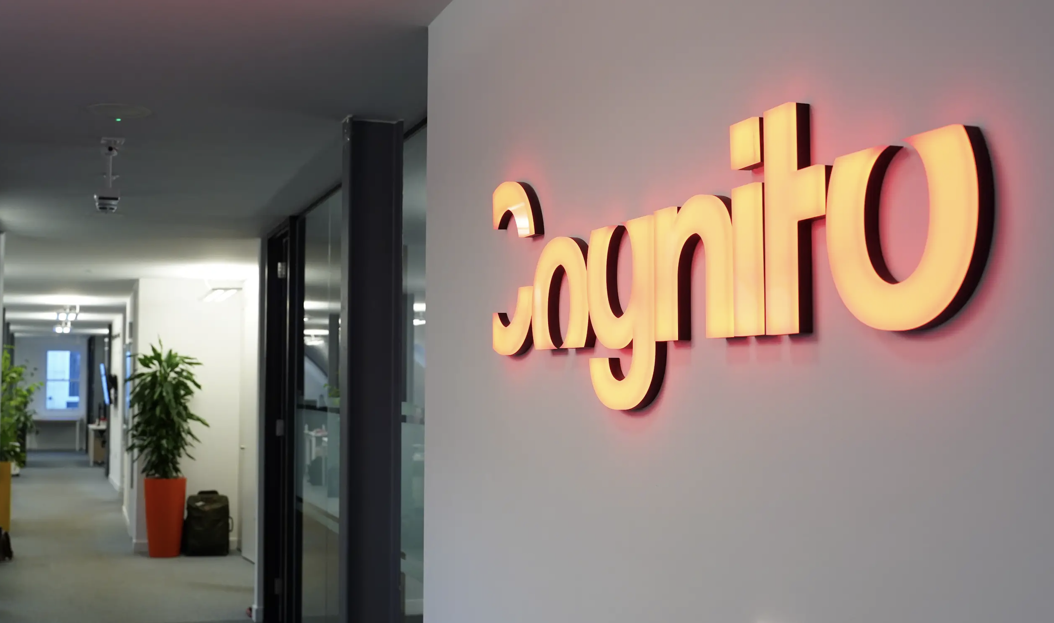 Cognito uitgeroepen tot Agency of the Year