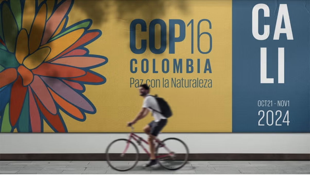 Dit was het Nederlandse aandeel van de natuurtop in Colombia