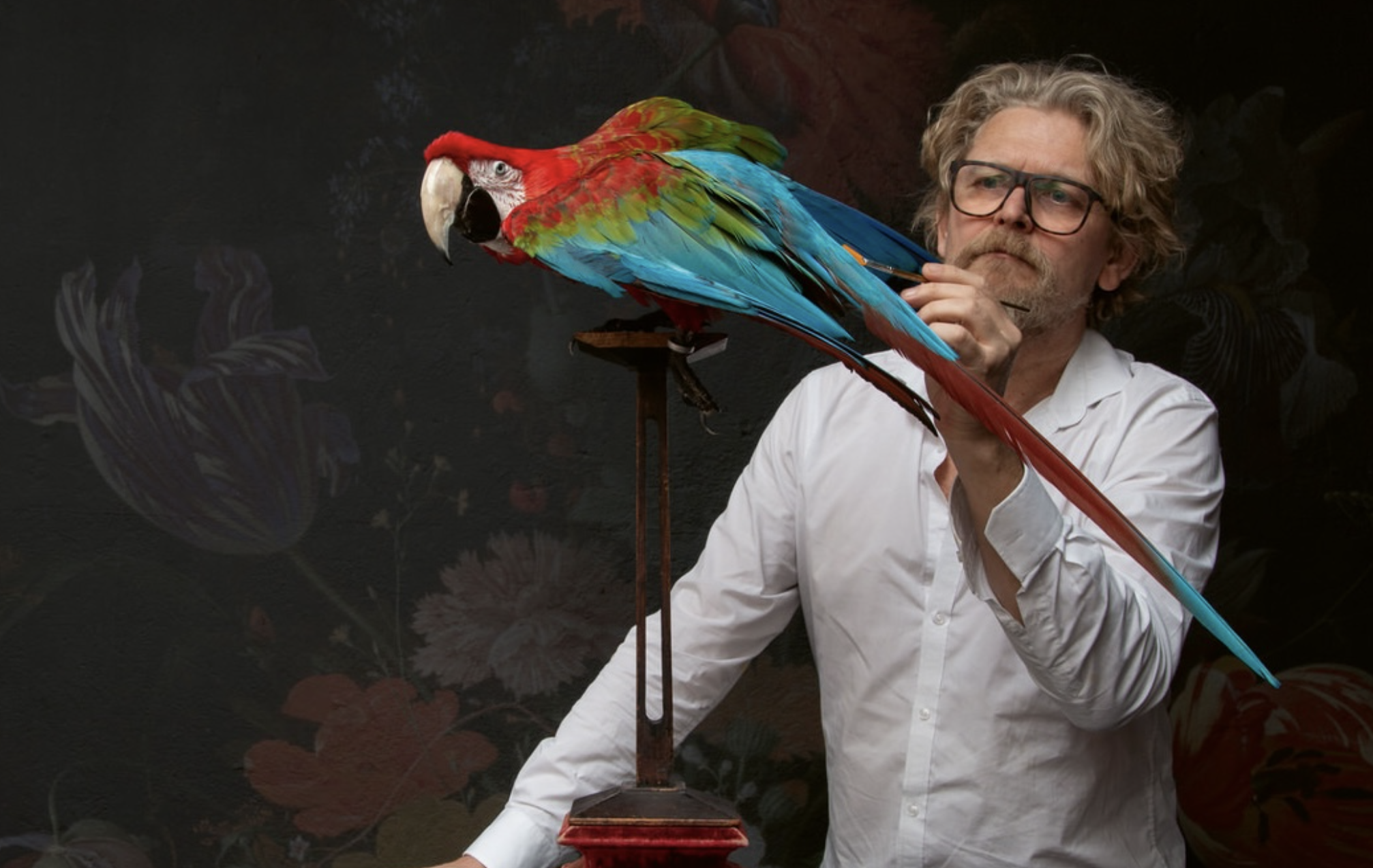 Art Zoo Museum kiest Boest als online marketingbureau