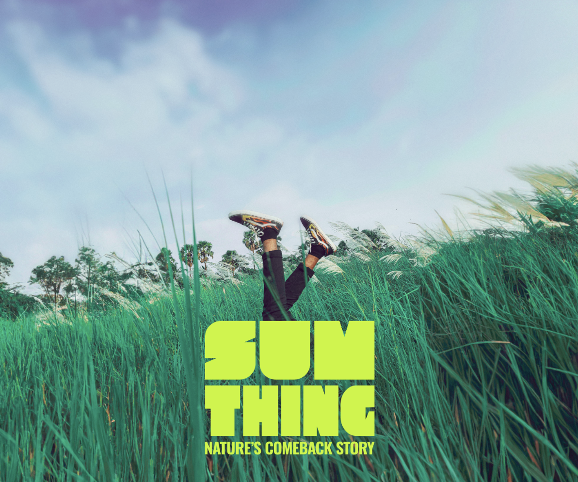 Sumthing en MassiveMusic geven natuurherstel een geluid