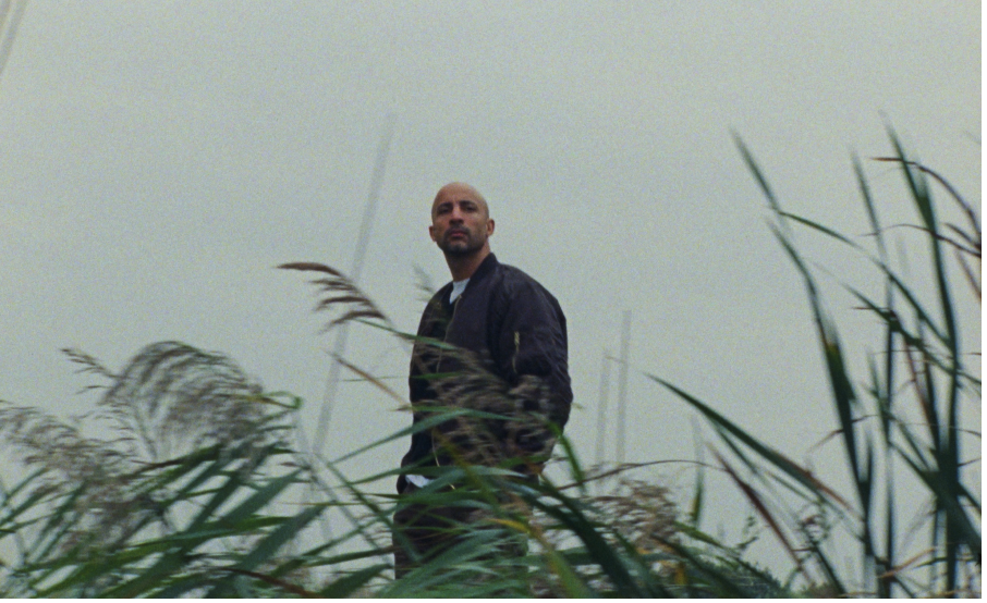 Willem de Bruin schrijft jubileumeditie van dijkgedicht