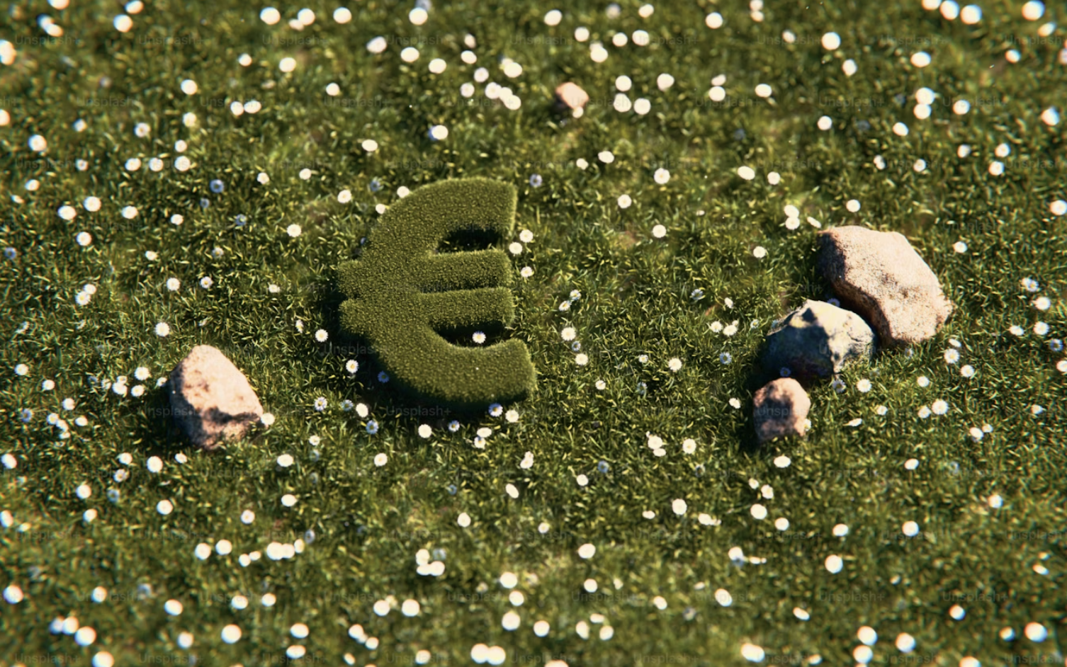 Hoe je ontwikkeling of ondernemen kunt financieren