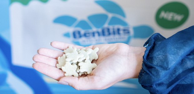 BenBits genomineerd bij Coolest Dutch Brands