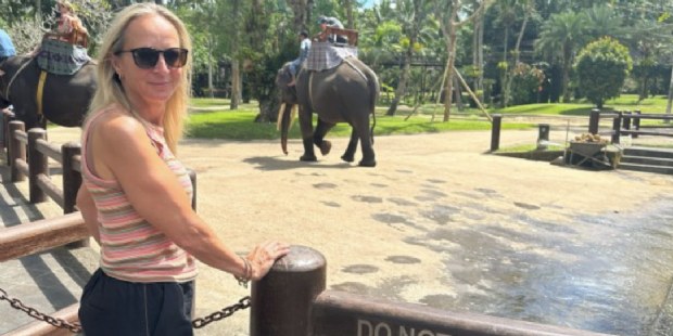 75 Jaar World Animal Protection: 'geen reden voor een feestje'