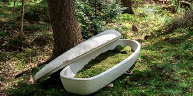 Loop Biotech viert vijf jaar duurzaame uitvaartproducten