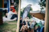 Ontmoet jouw favoriete podcastmaker tijdens Podimo at the Park 