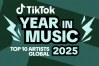 Dit zijn de TikTok muziek-highlights van 2025
